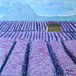 Lavender fields 4ever